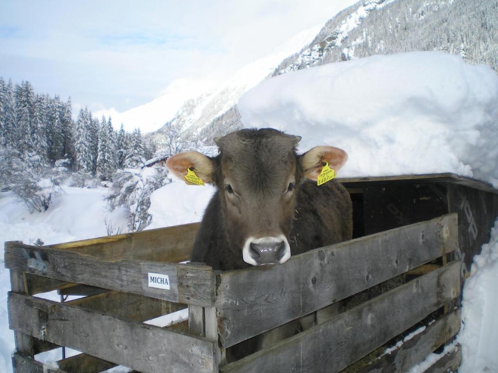 Hotel Haus Boedele Sankt Leonhard im Pitztal Exteriér fotografie