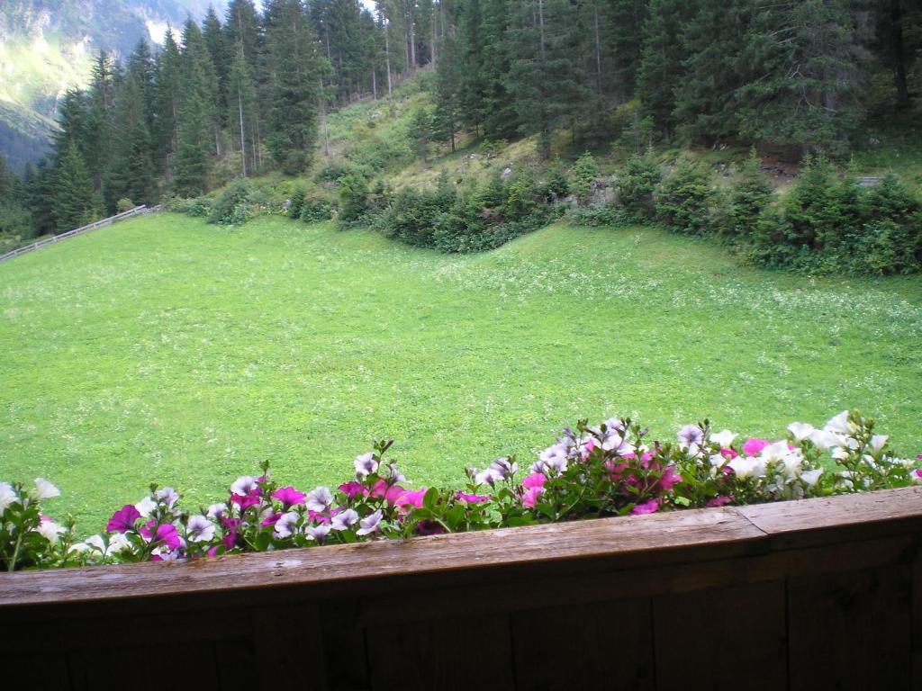 Hotel Haus Boedele Sankt Leonhard im Pitztal Pokoj fotografie